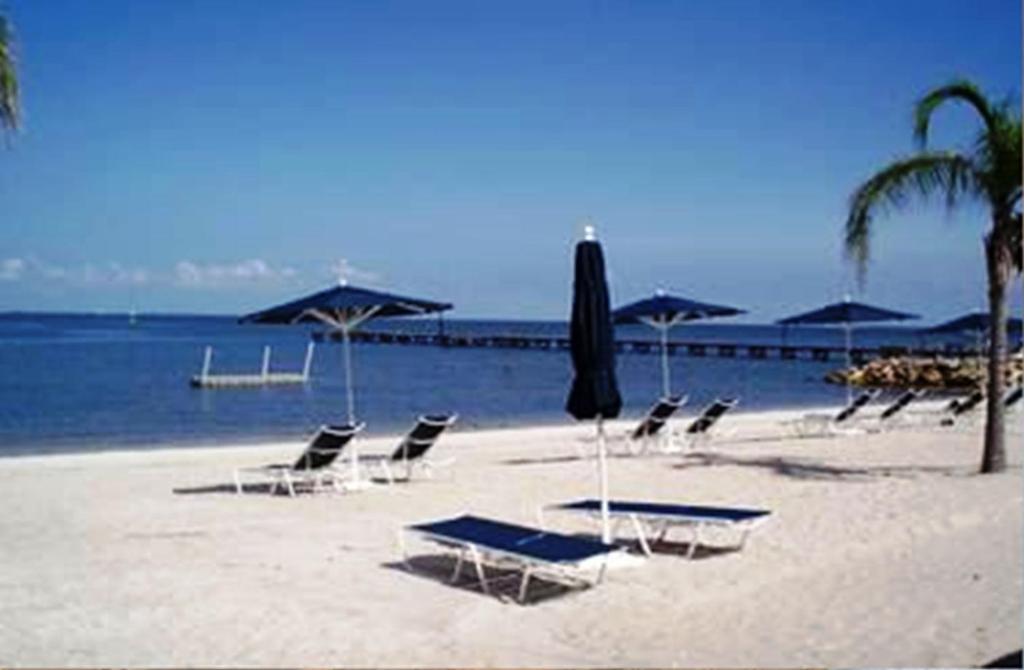Harborside Suites At Little Harbor 러스킨 외부 사진